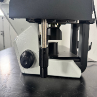 Olympus CKX53 Inverted Microscope image 3